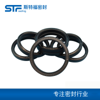 孔轴两用弹簧蓄能密封圈